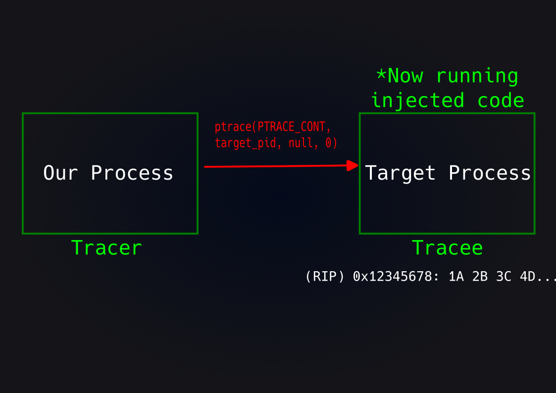 Projects/LoseLose/Images/PTRACE_CONT.png